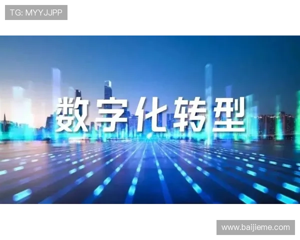 南宫NG平台推动企业数字化转型实现高质量发展