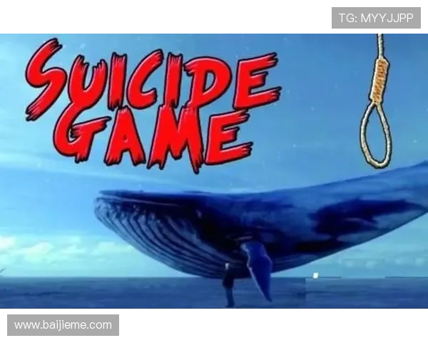 蓝鲸中文站如何成为最受欢迎的游戏资讯门户网站